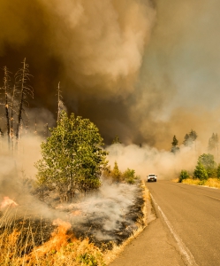 Surviving wildfire season: protecting yourself and your home post image