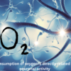 Consumption of oxygen is directly related to neutonal activity