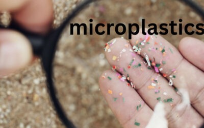 Microplastics?