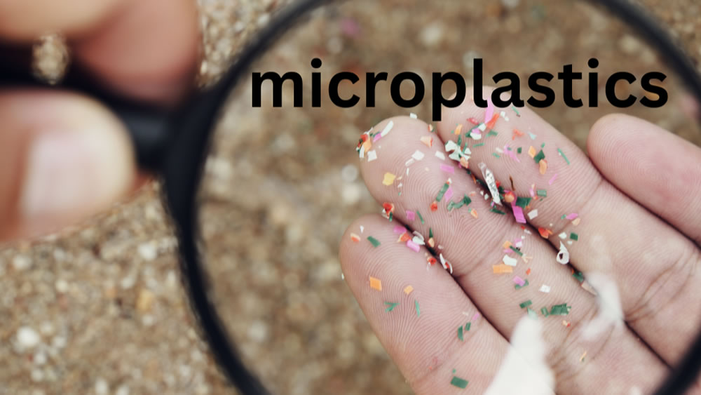 Microplastics?