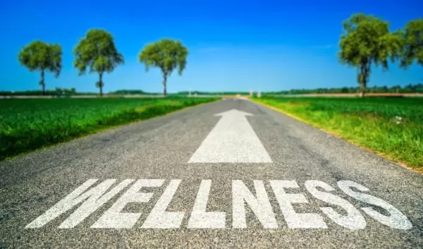 Wellness graphic used in Recover U detox and health education