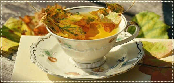 Supporting the body's natural detox pathways