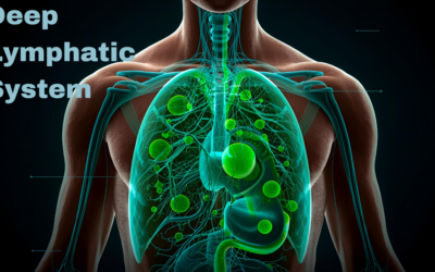 Deep Lymphatic Drainage: Detox Where It Really Matters