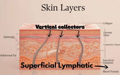 Superficial Lymphatic Drainage: Why Heat Is the Missing Link