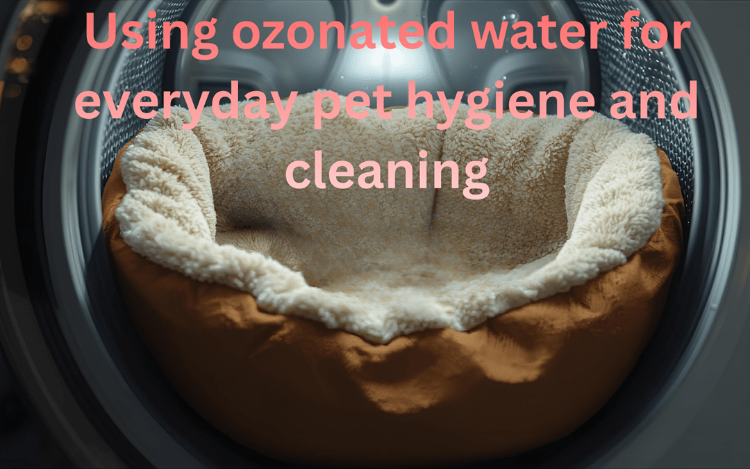 Mud, Paws, Fur & Mystery Smells: Everyday Pet Cleanliness with Ozonated Water
