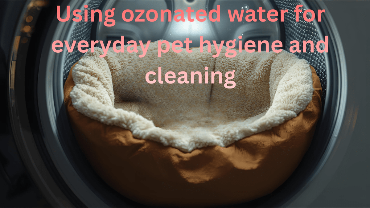 Mud, Paws, Fur & Mystery Smells: Everyday Pet Cleanliness with Ozonated Water
