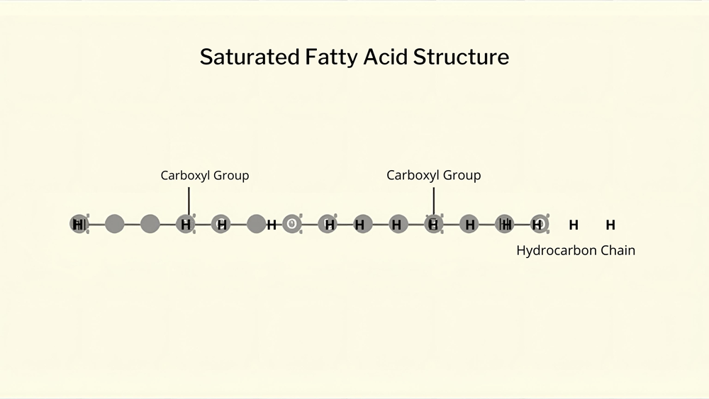 Coconut Oil, saturated fatty acid structure